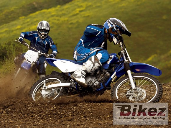 2011 Yamaha TT-R125LW E photo